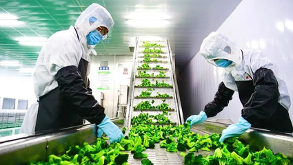 張掖市科學技術(shù)局推動種植技術(shù)開發(fā)，助力農(nóng)業(yè)現(xiàn)代化轉(zhuǎn)型