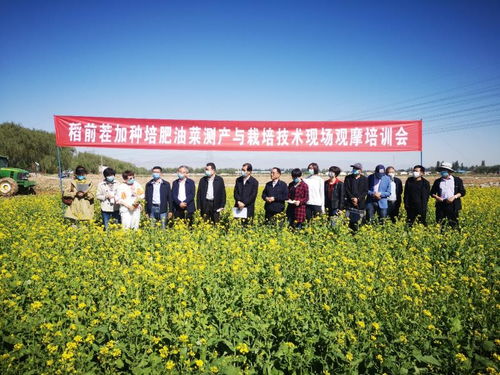 飼料綠肥油菜種植加工綜合利用關(guān)鍵技術(shù)研究與示范現(xiàn)場(chǎng)觀摩會(huì)成功舉辦，助推種植技術(shù)開(kāi)發(fā)與集成應(yīng)用