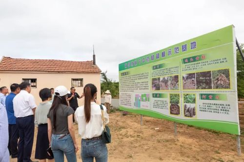 綠富雙贏 全市林下經(jīng)濟(jì)產(chǎn)業(yè)發(fā)展觀(guān)摩活動(dòng)暨種植技術(shù)開(kāi)發(fā)新篇章