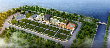 青島海水稻研發(fā)中心揭牌，首代稻種預(yù)計(jì)11月問(wèn)世，技術(shù)開(kāi)發(fā)引領(lǐng)農(nóng)業(yè)新篇章