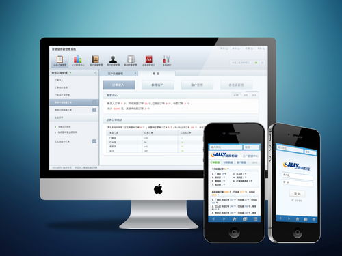 軟件系統(tǒng)概述及其組成部分